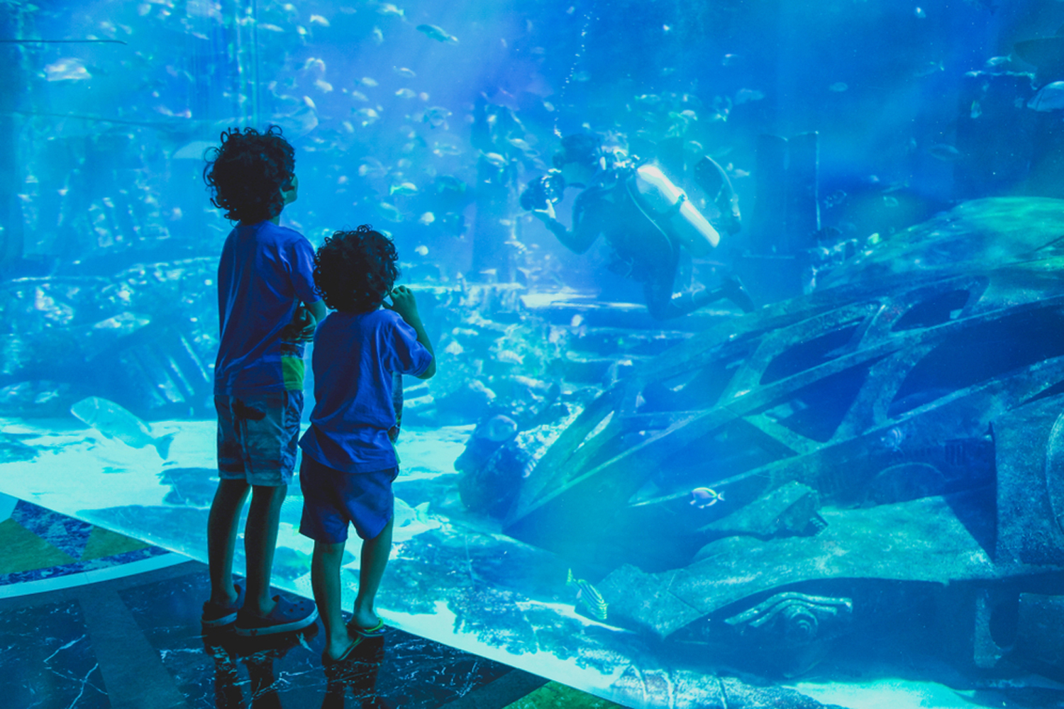 marassi aquarium and underwater zoo tickets